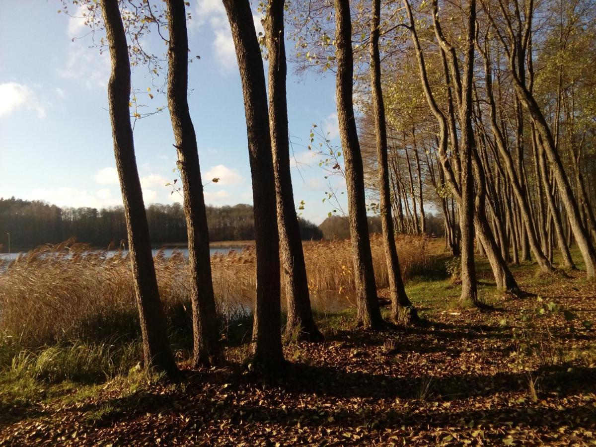 Domki Wczasowe Mazury - Ferienhaus Masuren - Do 12 Osob - Idealny Dla Grup Dluzek Ngoại thất bức ảnh